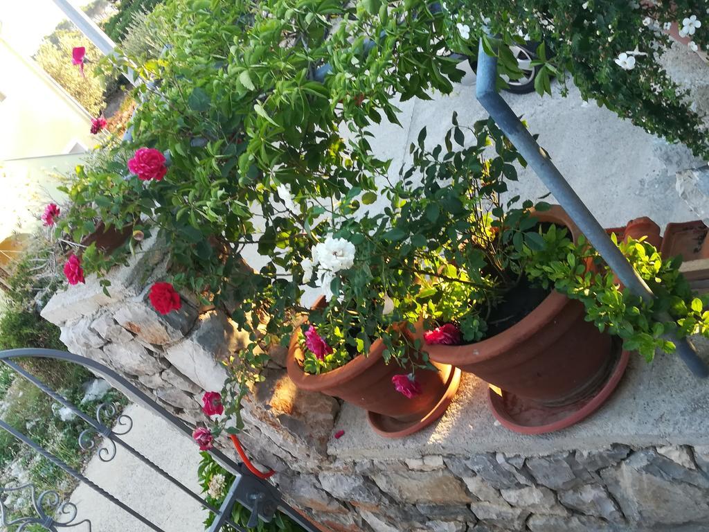 Apartment Neno - Terrace & Parking Вели-Лошинь Экстерьер фото